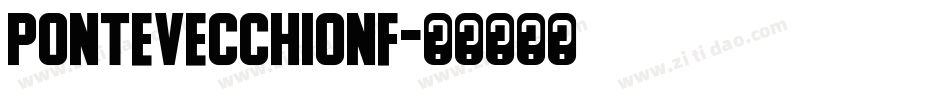 PonteVecchioNF字体转换