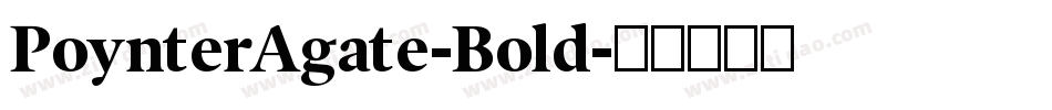 PoynterAgate-Bold字体转换