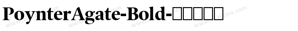 PoynterAgate-Bold字体转换