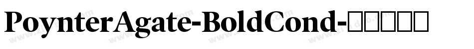 PoynterAgate-BoldCond字体转换