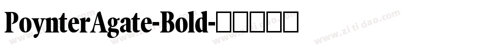 PoynterAgate-Bold字体转换