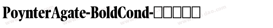 PoynterAgate-BoldCond字体转换