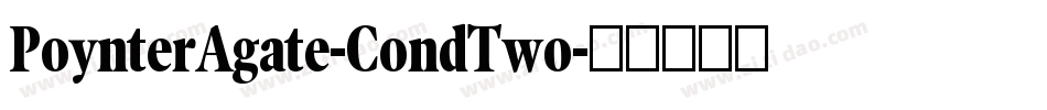 PoynterAgate-CondTwo字体转换