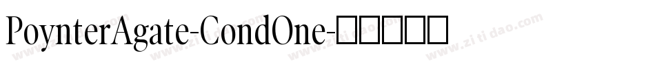 PoynterAgate-CondOne字体转换