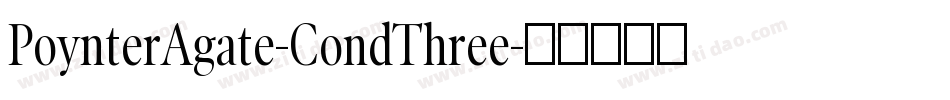 PoynterAgate-CondThree字体转换