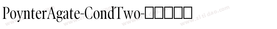 PoynterAgate-CondTwo字体转换