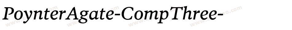 PoynterAgate-CompThree字体转换