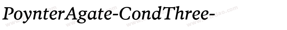 PoynterAgate-CondThree字体转换