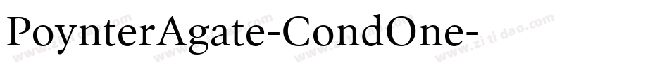 PoynterAgate-CondOne字体转换