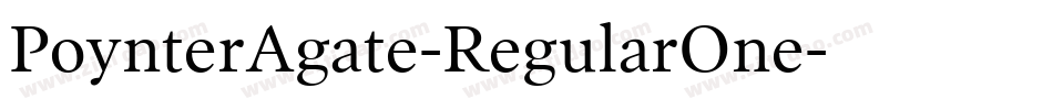 PoynterAgate-RegularOne字体转换