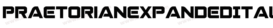 PraetorianExpandedItalic-0eov字体转换
