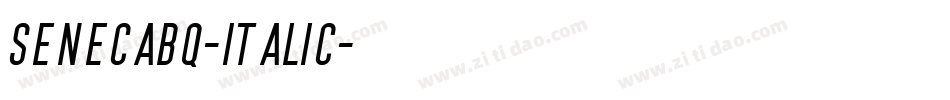 SenecaBQ-Italic字体转换