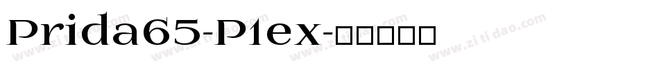 Prida65-P1ex字体转换