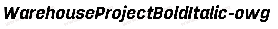 WarehouseProjectBoldItalic-owgrz字体转换
