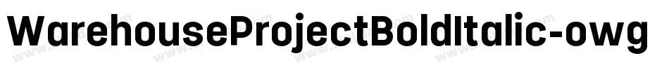 WarehouseProjectBoldItalic-owgrz字体转换