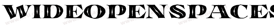 WideOpenSpaces-X27d字体转换