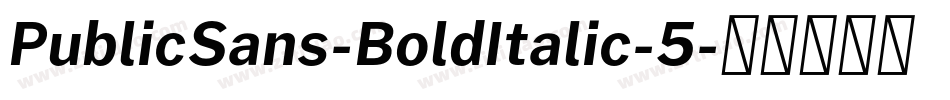 PublicSans-BoldItalic-5字体转换