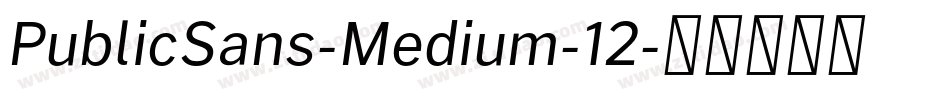 PublicSans-Medium-12字体转换