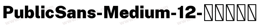 PublicSans-Medium-12字体转换