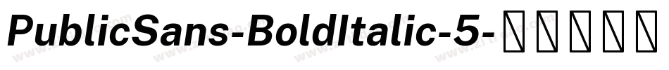 PublicSans-BoldItalic-5字体转换