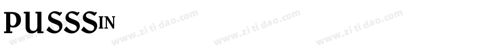 PUSSS字体转换