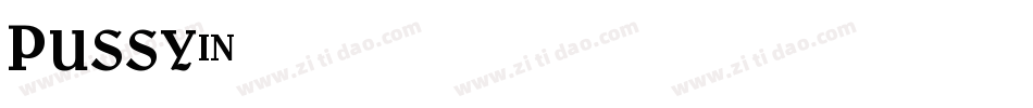 Pussy字体转换