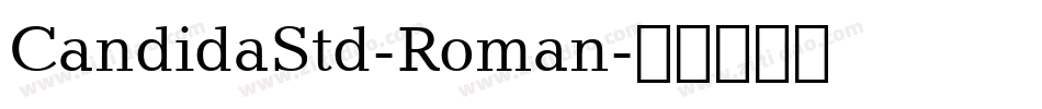 CandidaStd-Roman字体转换