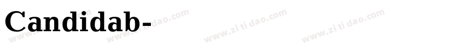 Candidab字体转换