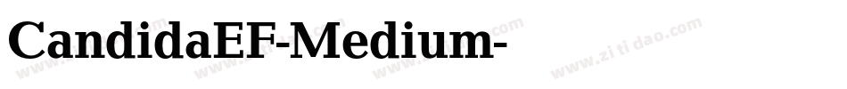 CandidaEF-Medium字体转换