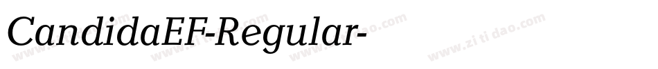 CandidaEF-Regular字体转换
