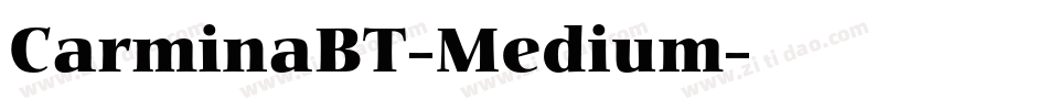 CarminaBT-Medium字体转换