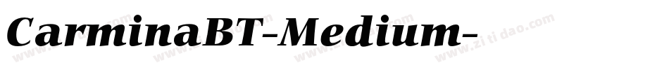 CarminaBT-Medium字体转换