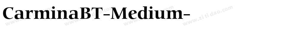 CarminaBT-Medium字体转换