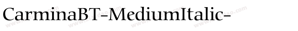 CarminaBT-MediumItalic字体转换