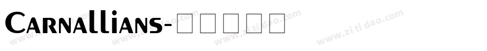 Carnallians字体转换