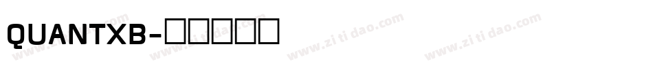 QUANTXB字体转换