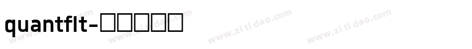 quantflt字体转换