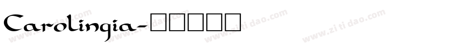 Carolingia字体转换