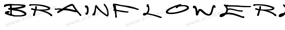 BrainFlowerEuro字体转换