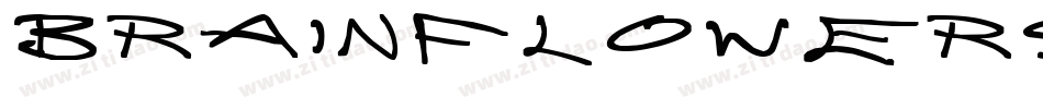 BrainFlowers-o6XB字体转换