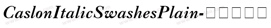 CaslonItalicSwashesPlain字体转换