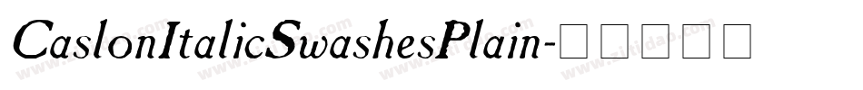 CaslonItalicSwashesPlain字体转换
