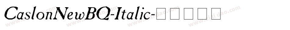 CaslonNewBQ-Italic字体转换