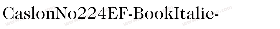 CaslonNo224EF-BookItalic字体转换