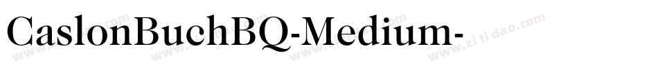 CaslonBuchBQ-Medium字体转换