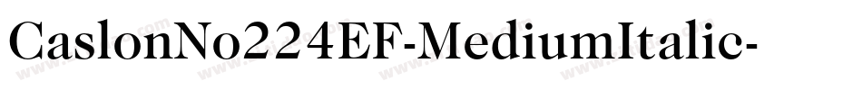 CaslonNo224EF-MediumItalic字体转换