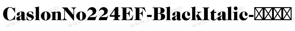 CaslonNo224EF-BlackItalic字体转换