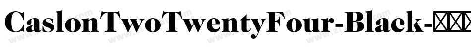 CaslonTwoTwentyFour-Black字体转换