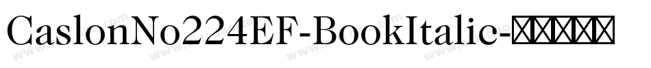 CaslonNo224EF-BookItalic字体转换