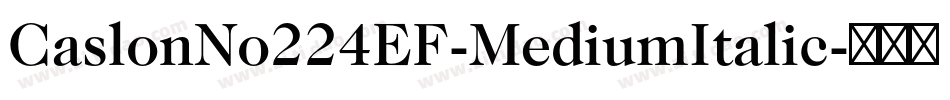 CaslonNo224EF-MediumItalic字体转换